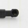 TRISCAN 8710 292018 Gas Spring, boot-/cargo area
